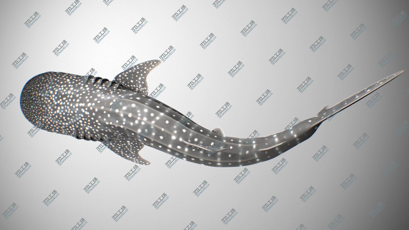 images/goods_img/2021040165/Whale Shark/4.jpg